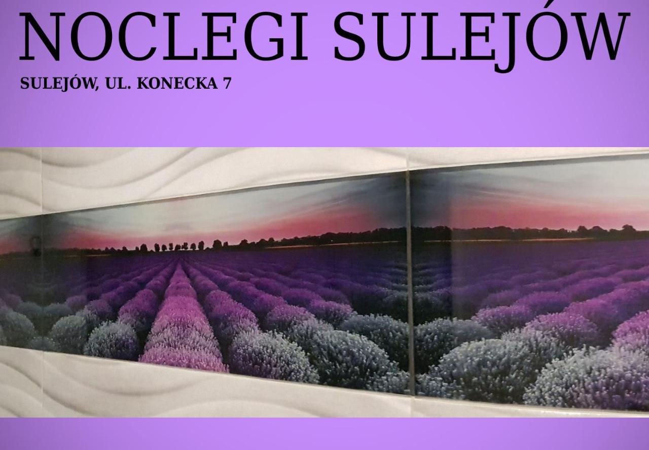 Noclegi Sulejów Buitenkant foto